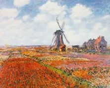 Haga click para ver la imagen ampliada -tulips in holland.jpg